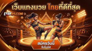 เว็บแทงมวย